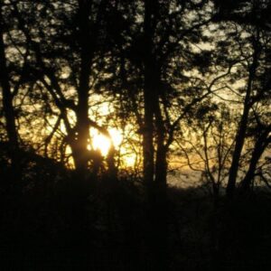 Gaia Shrugged Image